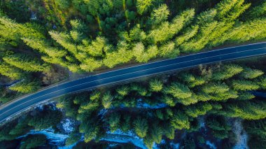 The road passes through the woods, aerial view