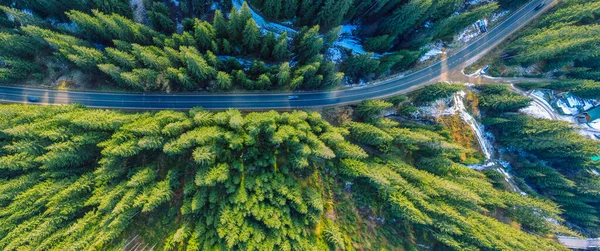 The road passes through the woods, aerial view