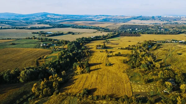 Flight Fields Western Ukrainian Village Aerial View 图库照片