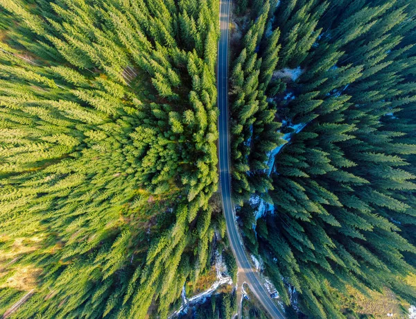Road Passes Woods Aerial View ストックフォト
