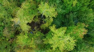 Aerial view over the forest Background of tree tops 