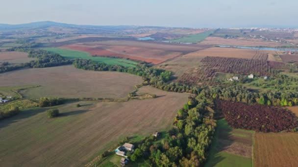 Flight Fields Western Ukrainian Village Aerial View — Stok video