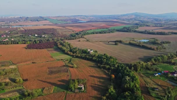 Flight Fields Western Ukrainian Village Aerial View — Stockvideo