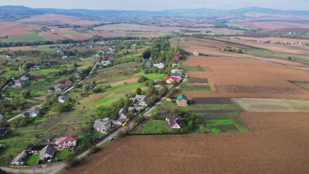 Flight Fields Western Ukrainian Village Aerial View — Wideo stockowe