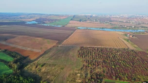 Flight Fields Western Ukrainian Village Aerial View — Stock video