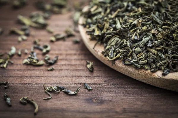 Hojas de té verde — Foto de Stock