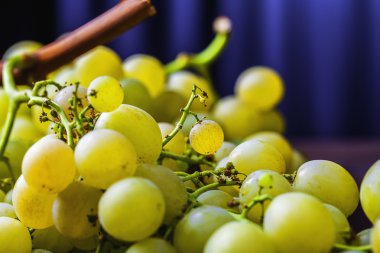 Sarı üzüm