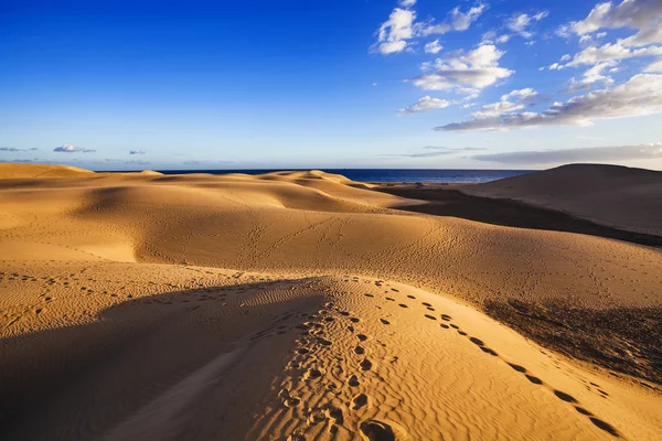 Písečné duny z Maspalomas — Stock fotografie