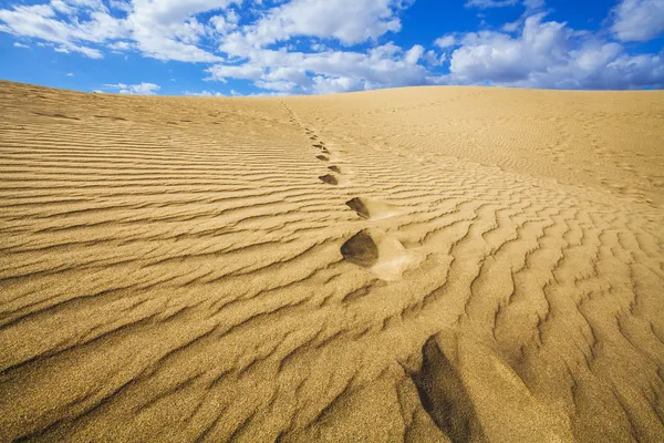 Dunas de arena — Stockfoto