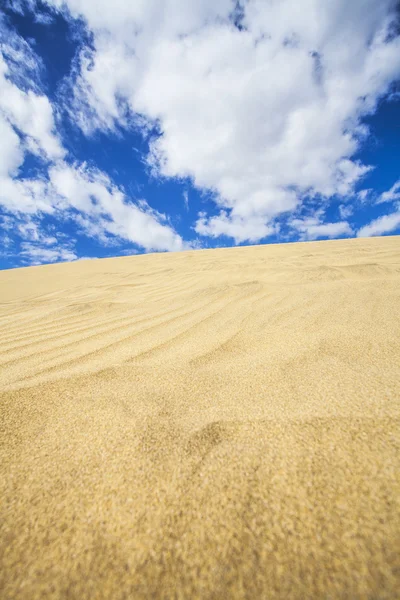 Dunas de arena — Stockfoto