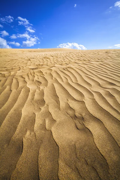 Dunas de arena — Stockfoto