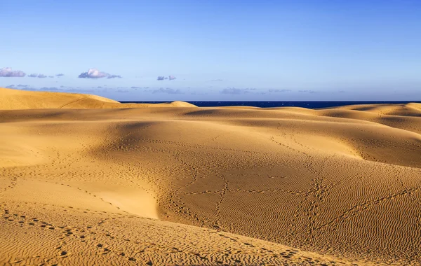 Písečné duny z Maspalomas — Stock fotografie