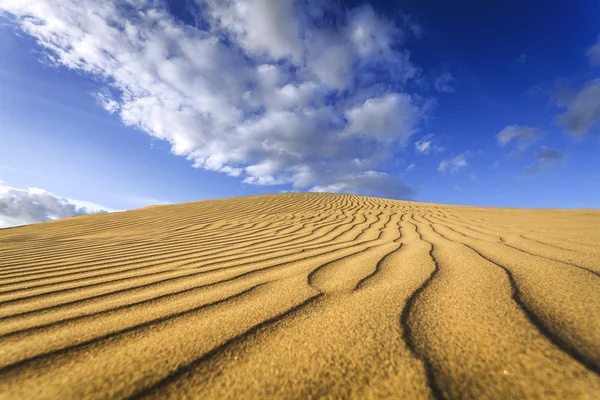 Dunas de areia — Fotografia de Stock