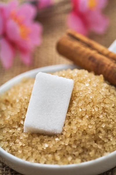 Weißer und brauner Zucker — Stockfoto