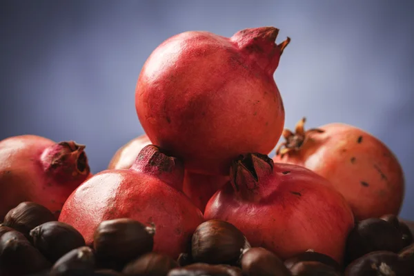 Granatäpple och kastanj — Stockfoto