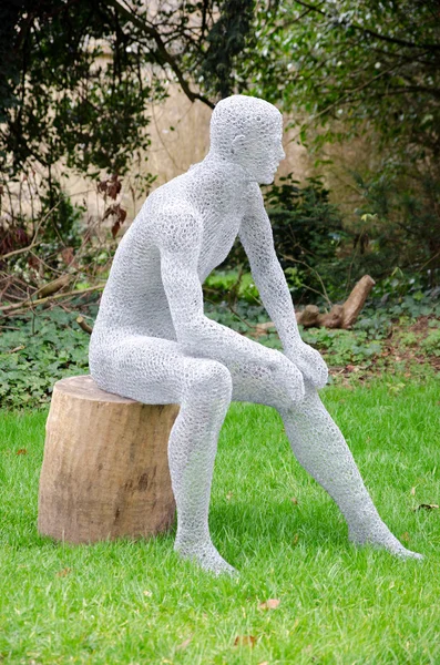 Wire statue of man in woodland — Stock Photo, Image