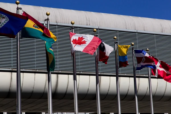 Bandeiras internacionais no aeroporto de miami — Stock fotografie