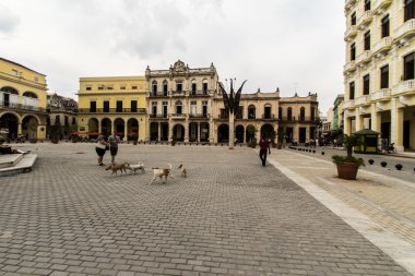 Plaza vieja la Havana