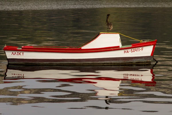 Лодка с пеликаном — стоковое фото