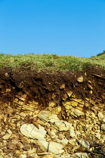 Trawa erozji — Zdjęcie stockowe