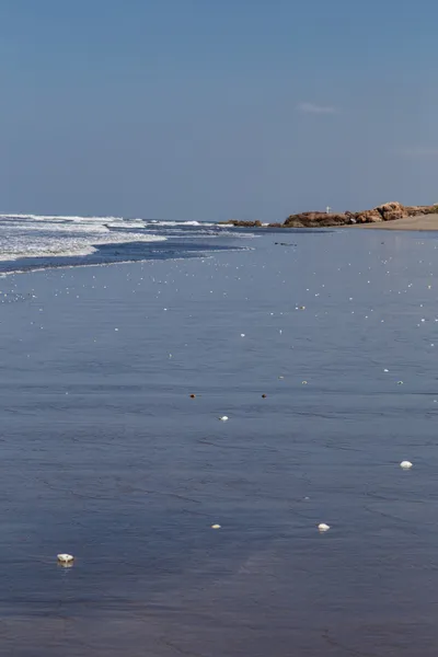 Praia — Fotografia de Stock