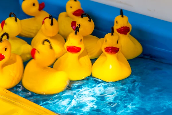 Patos de plástico amarelo — Fotografia de Stock