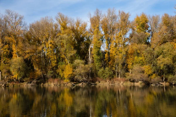 Paisaje Con Árboles Otoñales Orillas Río Con Reflejo Agua Día — Foto de Stock