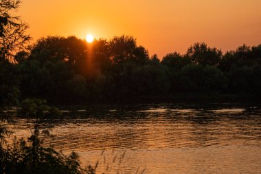 Yazın gün batımı nehirde, güneş ağaçların arkasında saklanıyor.