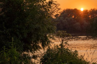 Yazın gün batımı nehirde, güneş ağaçların arkasında saklanıyor.