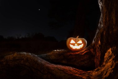 Cadılar Bayramı 'nda ormanda balkabağı, büyük çam kökleri üzerinde durur, mumlu gözler..