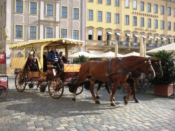 Em Dresden — Fotografia de Stock