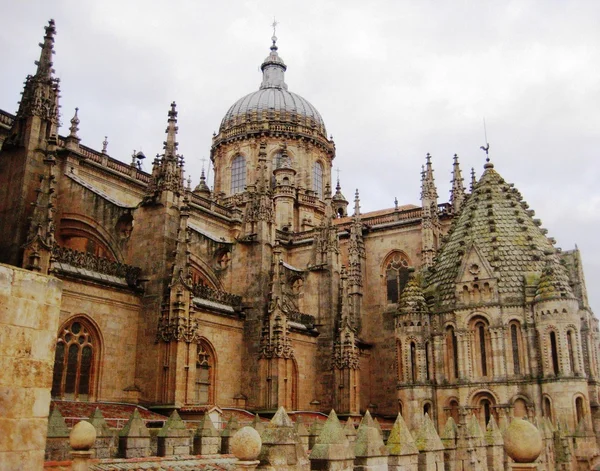 Salamanca, Zamora. Spain — 스톡 사진