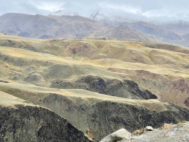 Altai dağ manzarası, ön planda yüksek çimenli tepeler, ve arkalarında yüksek dağların karla kaplı zirveleri.