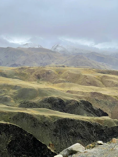 アルタイ山の風景は 前景の高い芝生の丘の上で その背後に雪の高い山のピークキャップ — ストック写真