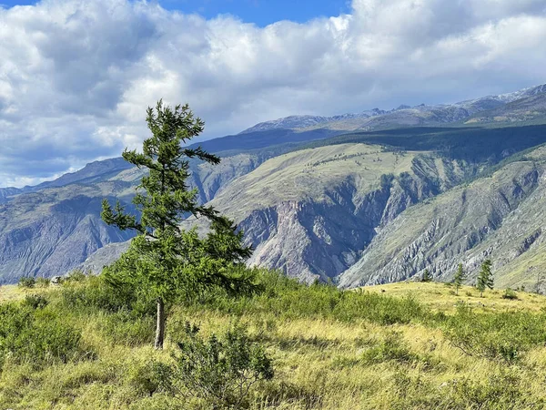 アルタイ山脈の美しい風景 — ストック写真