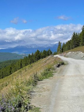 Yol dağlarda, Altai 'de, Rusya' da uzanıyor.
