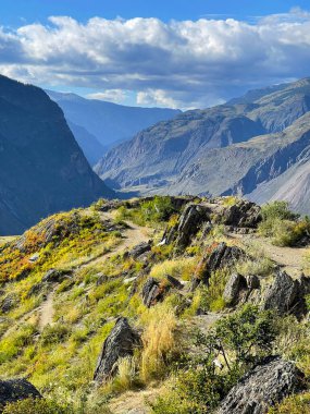 Altai dağlarının güzel manzarası, vadi manzarası, Rusya