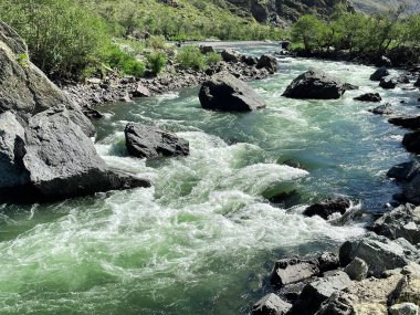 Chulyshman nehrinin fırtınalı akıntısı. Dağ nehrinin hızlı akışında köpüklü zümrüt suyu. Chulyshman Vadisi, Altai, Rusya