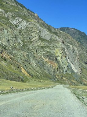 Yol dağlarda, Altai 'de, Rusya' da uzanıyor.