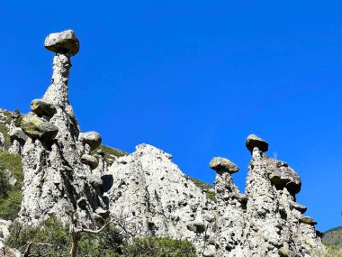 Akkurum arazisindeki taş mantarlar açık mavi gökyüzüne karşı, garip şekilli kaya oluşumları, Altai, Rusya, Chulyshman, Altai, Rusya