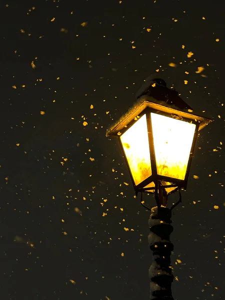 Kar Yağışı Sırasında Karanlıkta Yanan Klasik Sokak Lambası Büyük Yumuşak — Stok fotoğraf