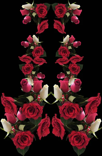 Roses Rouges Sur Fond Noir — Photo
