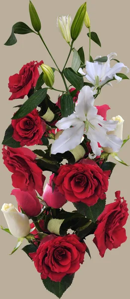 Rosas Vermelhas Isoladas Sobre Fundo Branco — Fotografia de Stock