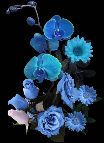 Fleurs Bleues Sur Fond Noir Pour Design — Photo