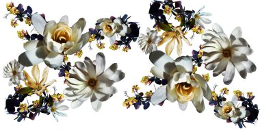 Beyaz sırtında güzel beyaz çiçekler