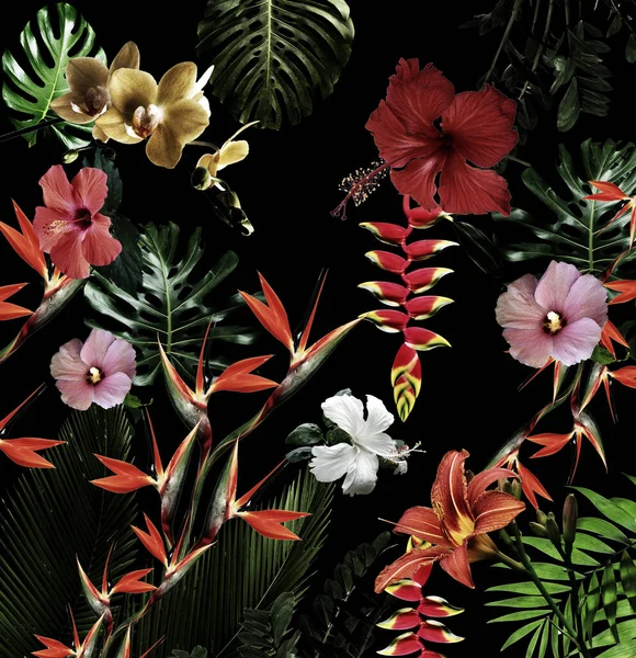 Hojas Verdes Patrón Floral Tropical —  Fotos de Stock