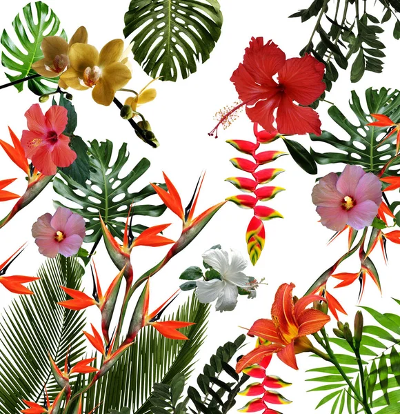 Grønne Blade Tropiske Blomstermønster - Stock-foto