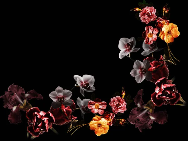 Beautiful Flowers Black Background — Stock Photo, Image