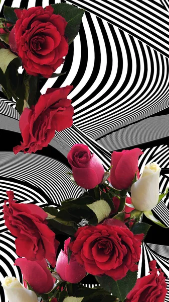 Květiny Růže Geometrický Vzor — Stock fotografie