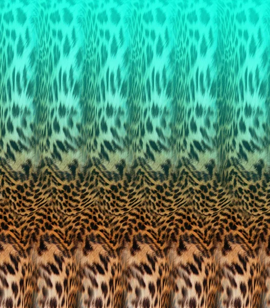 Leopard skin pattern texture; Fashionable print